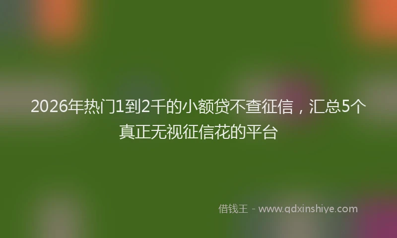 2026年热门1到2千的小额贷不查征信，汇总5个真正无视征信花的平台