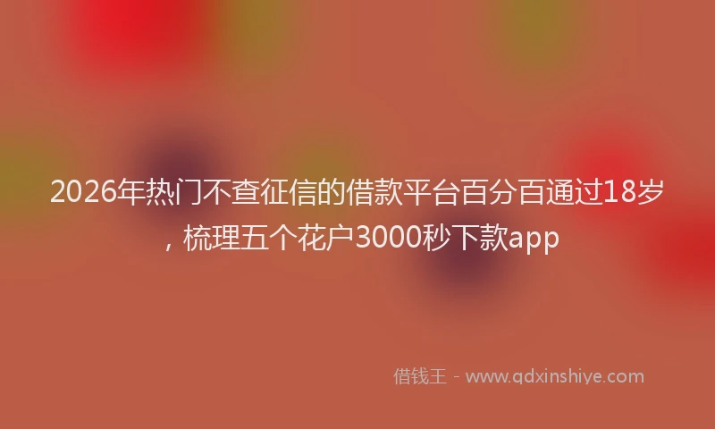 2026年热门不查征信的借款平台百分百通过18岁，梳理五个花户3000秒下款app