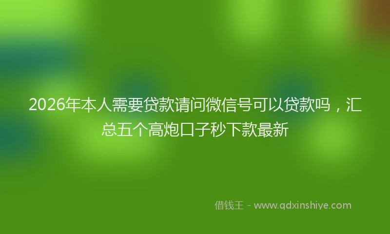 2026年本人需要贷款请问微信号可以贷款吗，汇总五个高炮口子秒下款最新