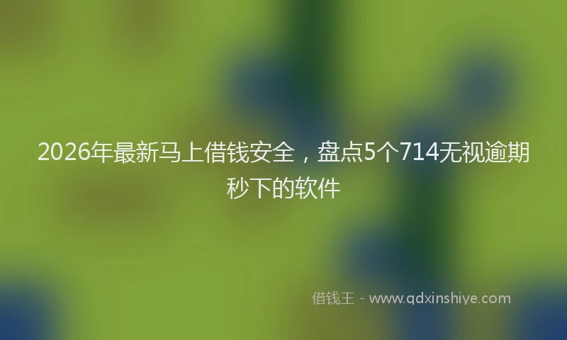 2026年最新马上借钱安全，盘点5个714无视逾期秒下的软件