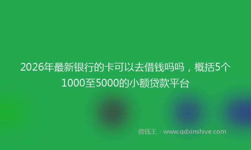 2026年最新银行的卡可以去借钱吗吗，概括5个1000至5000的小额贷款平台