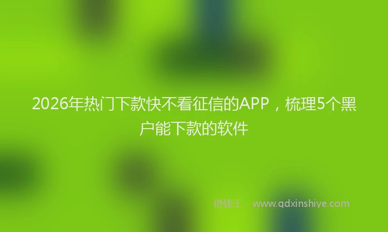 2026年热门下款快不看征信的APP，梳理5个黑户能下款的软件
