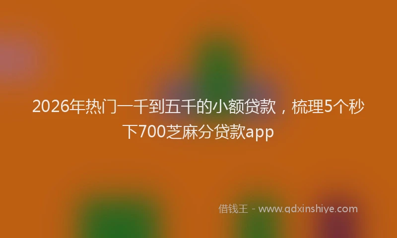 2026年热门一千到五千的小额贷款，梳理5个秒下700芝麻分贷款app
