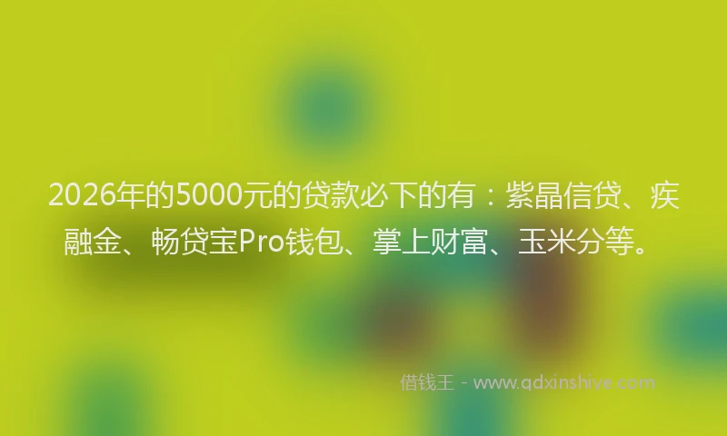 2026年的5000元的贷款必下的有：紫晶信贷、疾融金、畅贷宝Pro钱包、掌上财富、玉米分等。
