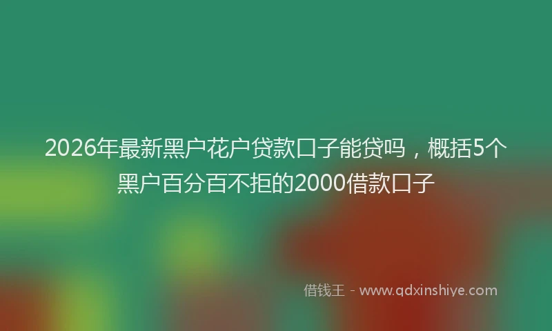 2026年最新黑户花户贷款口子能贷吗，概括5个黑户百分百不拒的2000借款口子