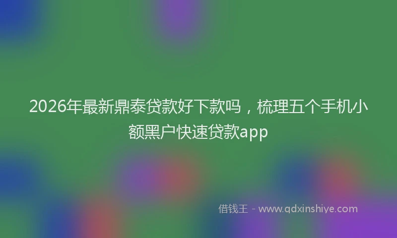 2026年最新鼎泰贷款好下款吗，梳理五个手机小额黑户快速贷款app