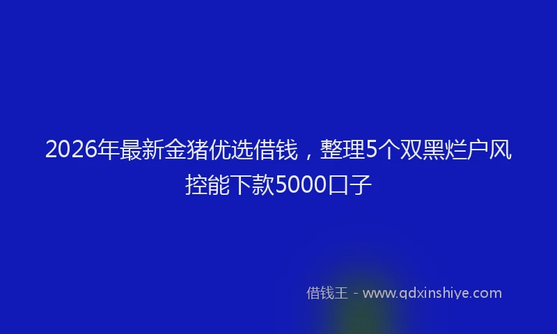 2026年最新金猪优选借钱，整理5个双黑烂户风控能下款5000口子