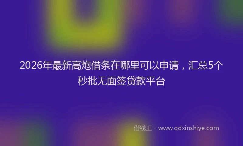 2026年最新高炮借条在哪里可以申请，汇总5个秒批无面签贷款平台