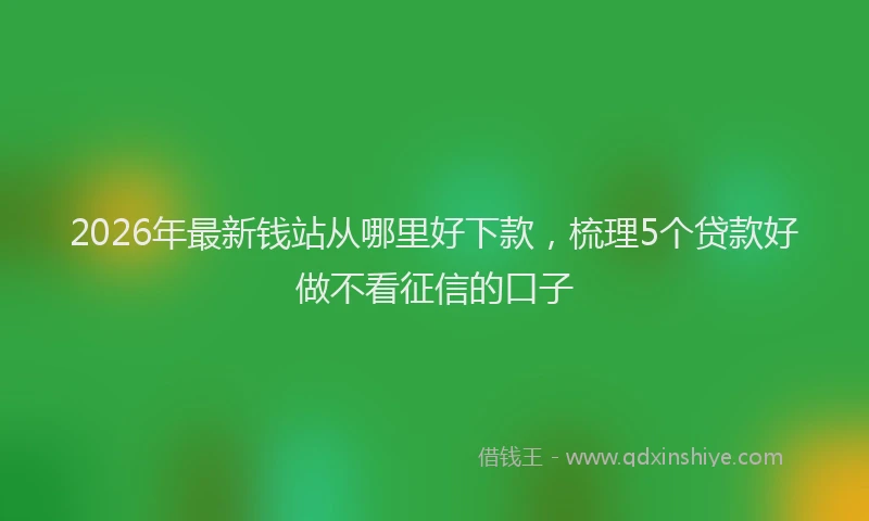 2026年最新钱站从哪里好下款，梳理5个贷款好做不看征信的口子