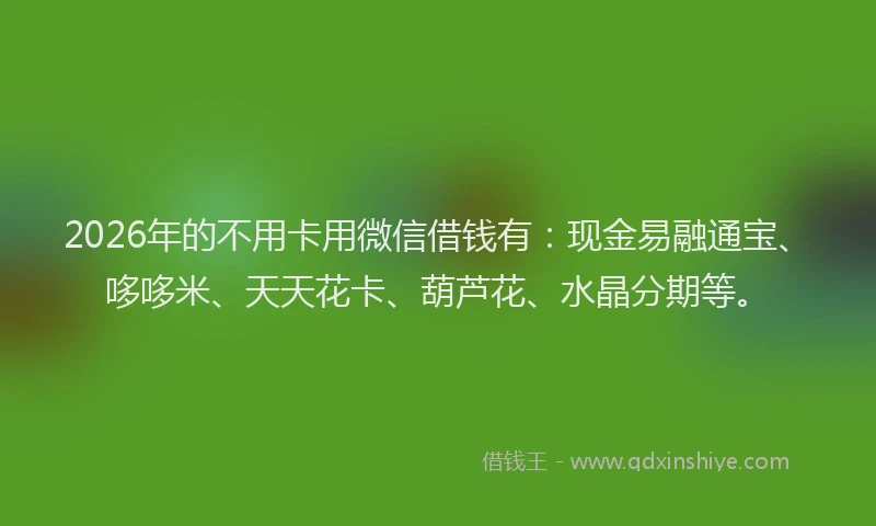 2026年的不用卡用微信借钱有：现金易融通宝、哆哆米、天天花卡、葫芦花、水晶分期等。