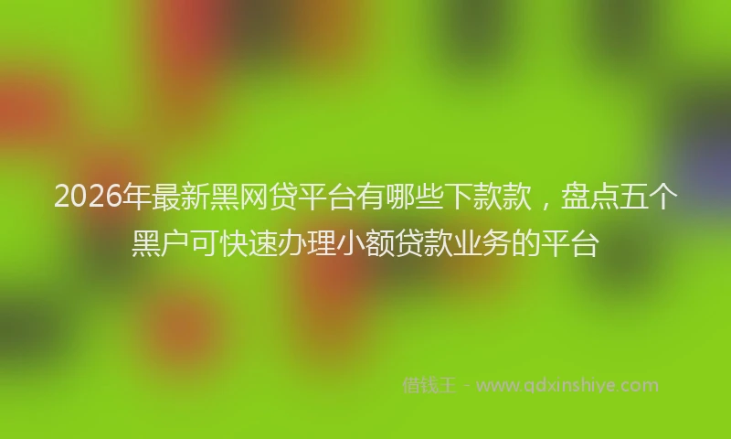 2026年最新黑网贷平台有哪些下款款，盘点五个黑户可快速办理小额贷款业务的平台
