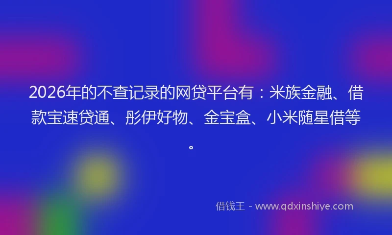 2026年的不查记录的网贷平台有：米族金融、借款宝速贷通、彤伊好物、金宝盒、小米随星借等。