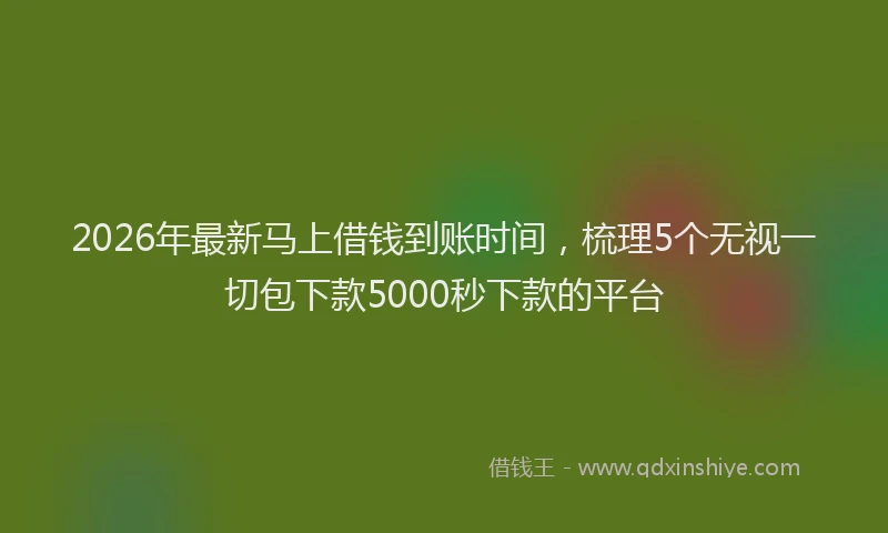 2026年最新马上借钱到账时间，梳理5个无视一切包下款5000秒下款的平台