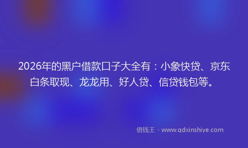 2026年的黑户借款口子大全有：小象快贷、京东白条取现、龙龙用、好人贷、信贷钱包等。