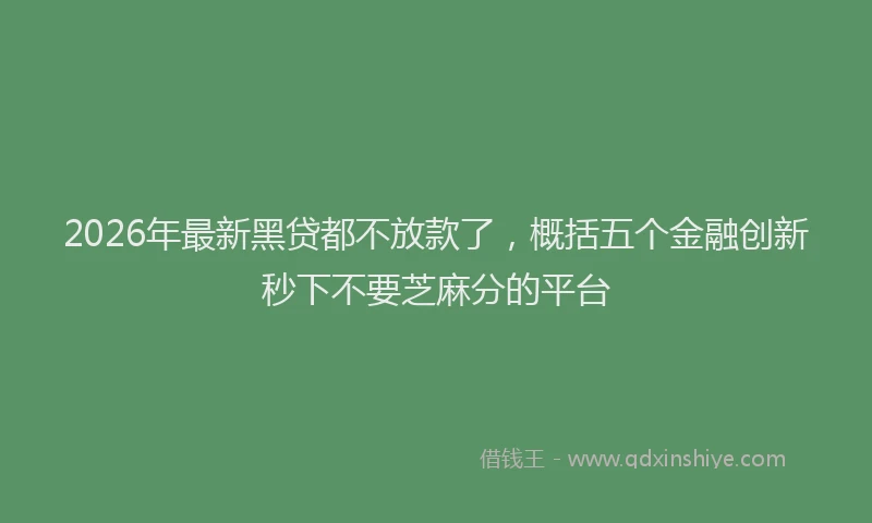 2026年最新黑贷都不放款了，概括五个金融创新秒下不要芝麻分的平台