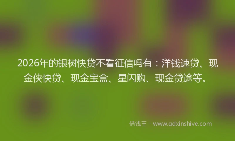 2026年的银树快贷不看征信吗有：洋钱速贷、现金侠快贷、现金宝盒、星闪购、现金贷途等。