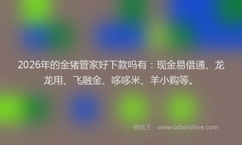 2026年的金猪管家好下款吗有：现金易借通、龙龙用、飞融金、哆哆米、羊小购等。