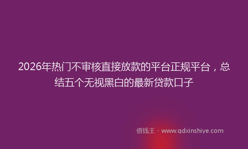 2026年热门不审核直接放款的平台正规平台，总结五个无视黑白的最新贷款口子