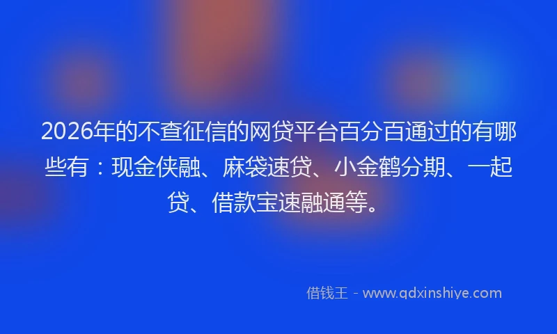 2026年的不查征信的网贷平台百分百通过的有哪些有：现金侠融、麻袋速贷、小金鹤分期、一起贷、借款宝速融通等。