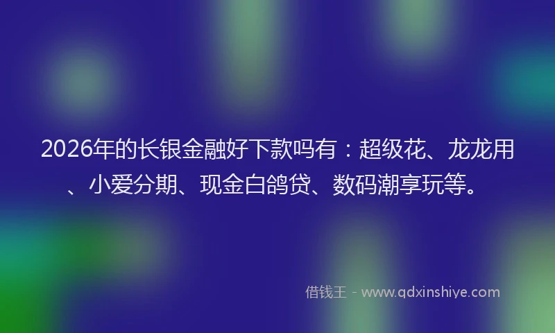 2026年的长银金融好下款吗有：超级花、龙龙用、小爱分期、现金白鸽贷、数码潮享玩等。