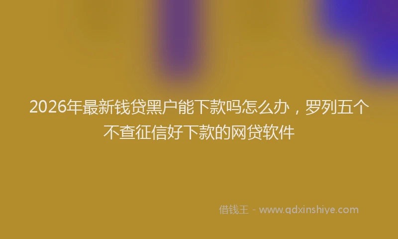 2026年最新钱贷黑户能下款吗怎么办，罗列五个不查征信好下款的网贷软件