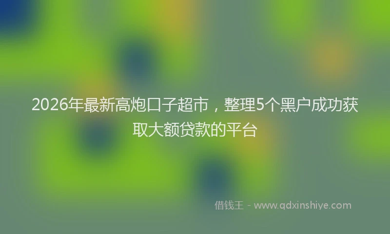 2026年最新高炮口子超市，整理5个黑户成功获取大额贷款的平台