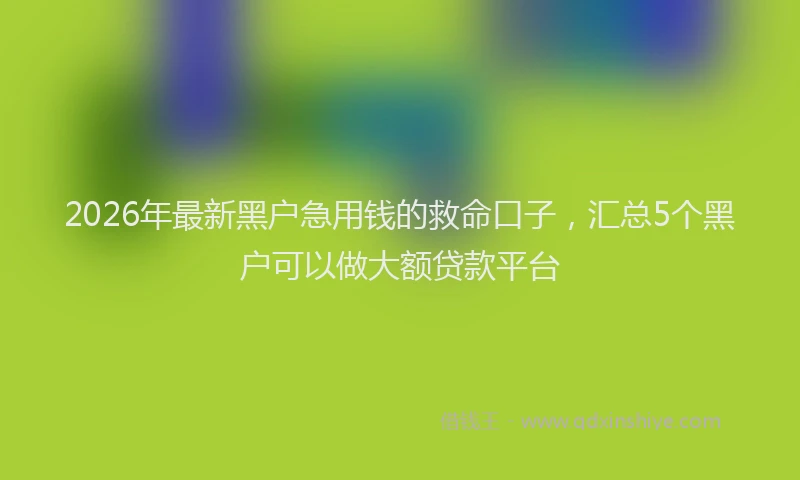 2026年最新黑户急用钱的救命口子，汇总5个黑户可以做大额贷款平台