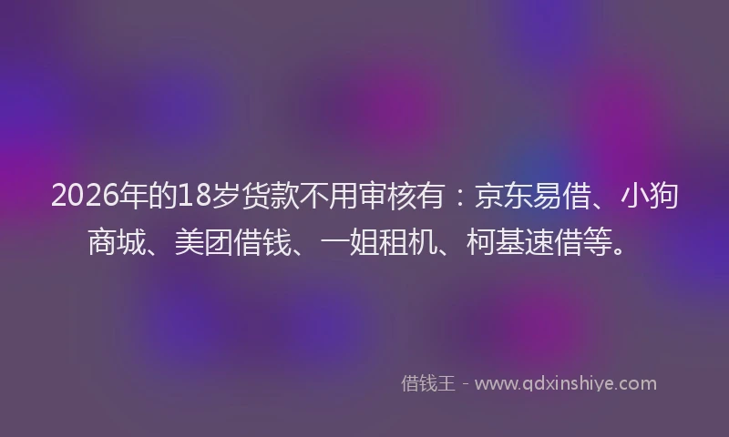 2026年的18岁货款不用审核有：京东易借、小狗商城、美团借钱、一姐租机、柯基速借等。