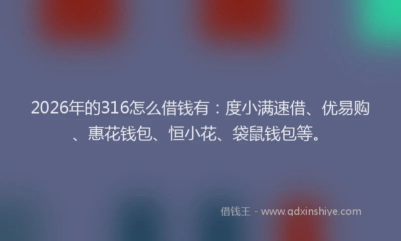 2026年的316怎么借钱有：度小满速借、优易购、惠花钱包、恒小花、袋鼠钱包等。