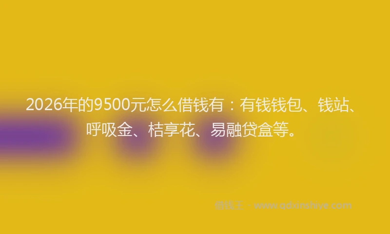 2026年的9500元怎么借钱有：有钱钱包、钱站、呼吸金、桔享花、易融贷盒等。