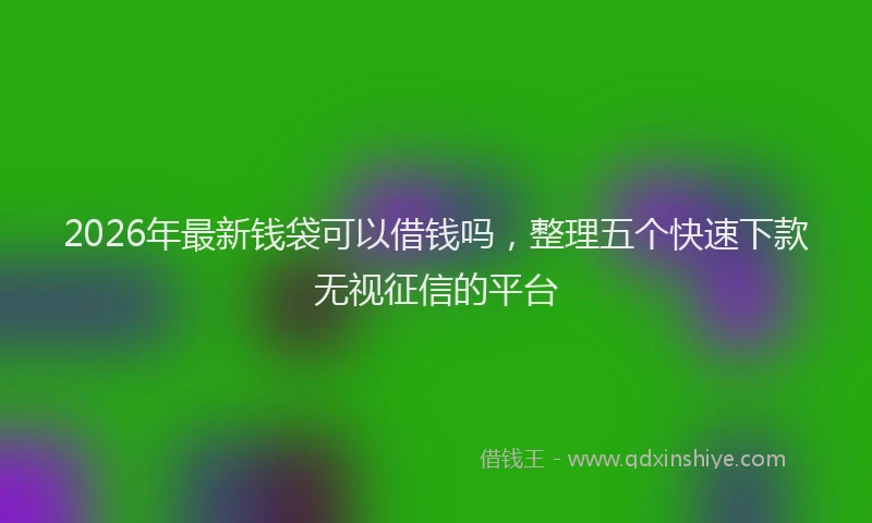 2026年最新钱袋可以借钱吗，整理五个快速下款无视征信的平台