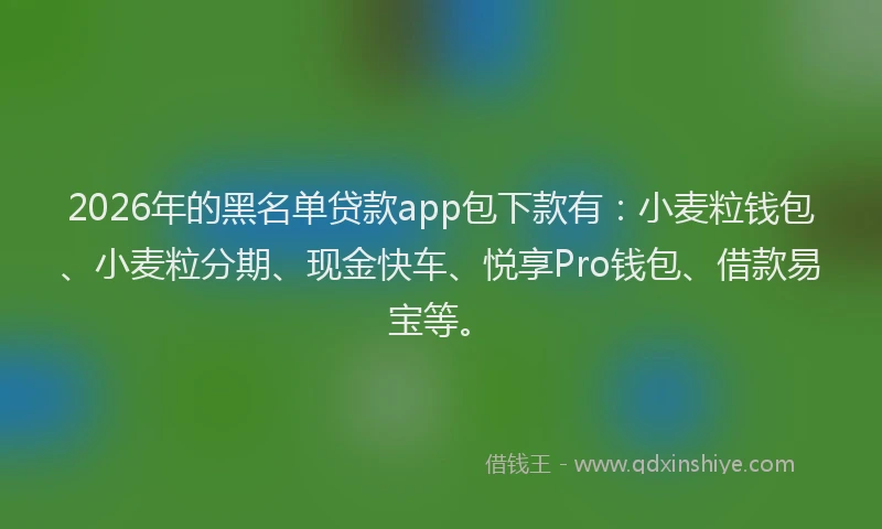 2026年的黑名单贷款app包下款有：小麦粒钱包、小麦粒分期、现金快车、悦享Pro钱包、借款易宝等。