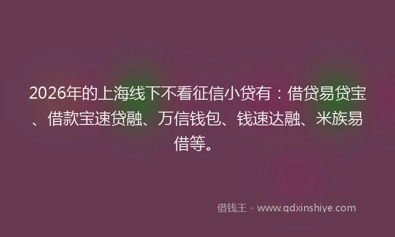 2026年的上海线下不看征信小贷有：借贷易贷宝、借款宝速贷融、万信钱包、钱速达融、米族易借等。