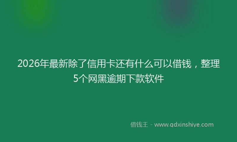 2026年最新除了信用卡还有什么可以借钱，整理5个网黑逾期下款软件