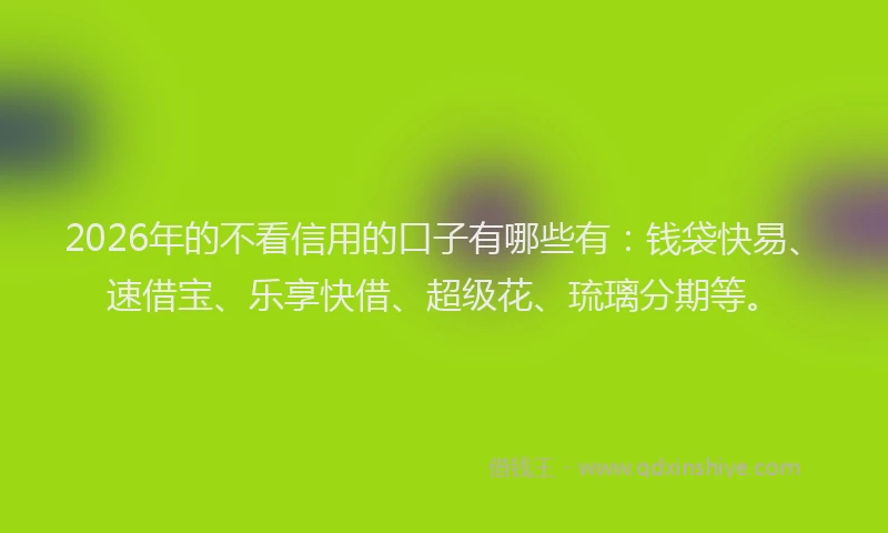 2026年的不看信用的口子有哪些有：钱袋快易、速借宝、乐享快借、超级花、琉璃分期等。