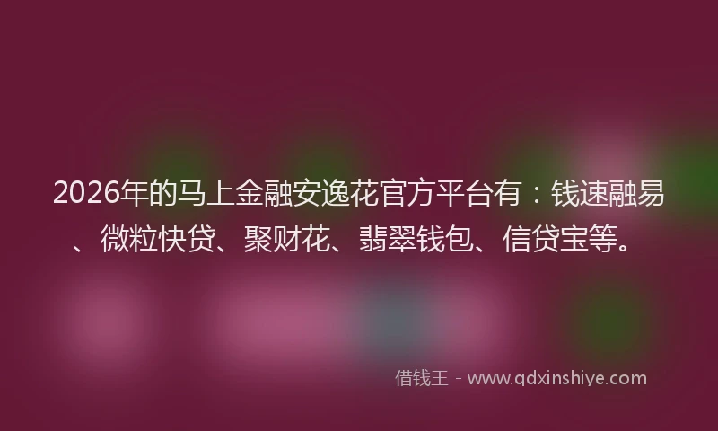 2026年的马上金融安逸花官方平台有：钱速融易、微粒快贷、聚财花、翡翠钱包、信贷宝等。