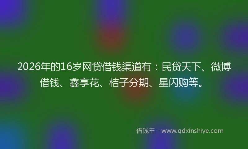 2026年的16岁网贷借钱渠道有：民贷天下、微博借钱、鑫享花、桔子分期、星闪购等。