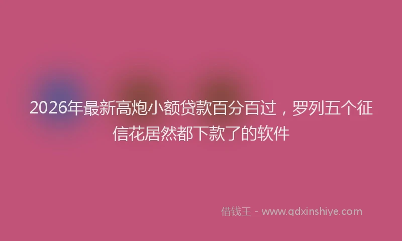 2026年最新高炮小额贷款百分百过，罗列五个征信花居然都下款了的软件