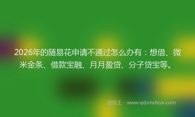 2026年的随易花申请不通过怎么办有：想借、微米金条、借款宝融、月月盈贷、分子贷宝等。
