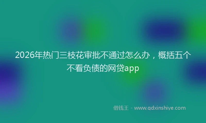 2026年热门三枝花审批不通过怎么办，概括五个不看负债的网贷app