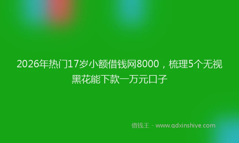 2026年热门17岁小额借钱网8000，梳理5个无视黑花能下款一万元口子