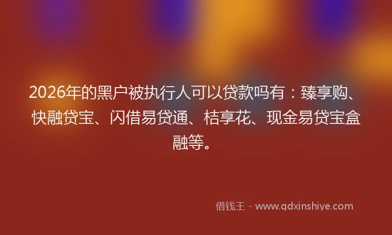 2026年的黑户被执行人可以贷款吗有：臻享购、快融贷宝、闪借易贷通、桔享花、现金易贷宝盒融等。