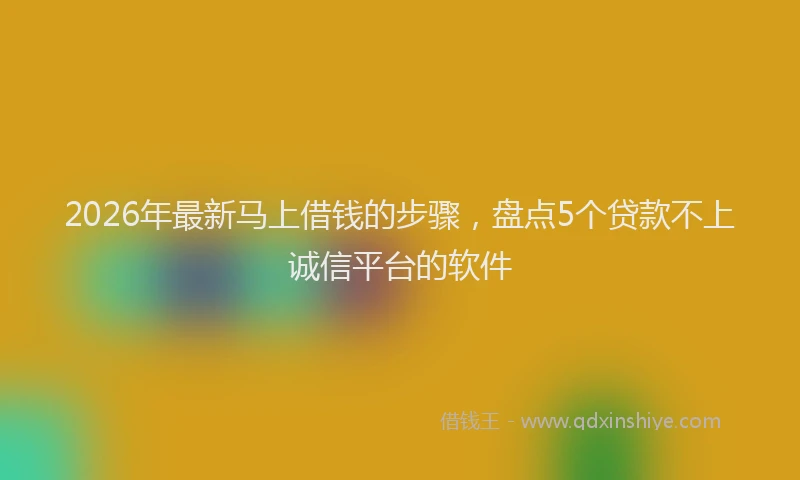 2026年最新马上借钱的步骤，盘点5个贷款不上诚信平台的软件