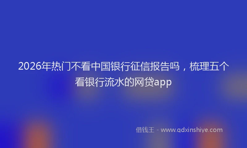 2026年热门不看中国银行征信报告吗，梳理五个看银行流水的网贷app