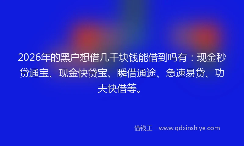 2026年的黑户想借几千块钱能借到吗有：现金秒贷通宝、现金快贷宝、瞬借通途、急速易贷、功夫快借等。