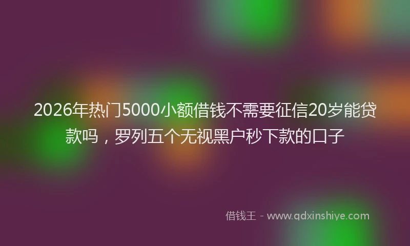 2026年热门5000小额借钱不需要征信20岁能贷款吗，罗列五个无视黑户秒下款的口子
