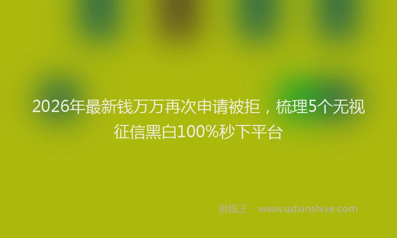 2026年最新钱万万再次申请被拒，梳理5个无视征信黑白100%秒下平台