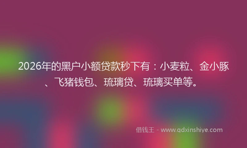 2026年的黑户小额贷款秒下有：小麦粒、金小豚、飞猪钱包、琉璃贷、琉璃买单等。