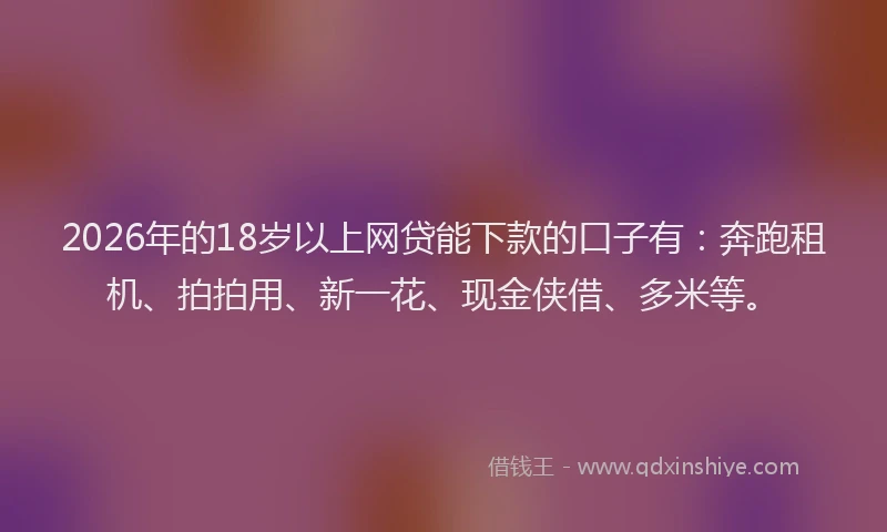 2026年的18岁以上网贷能下款的口子有：奔跑租机、拍拍用、新一花、现金侠借、多米等。