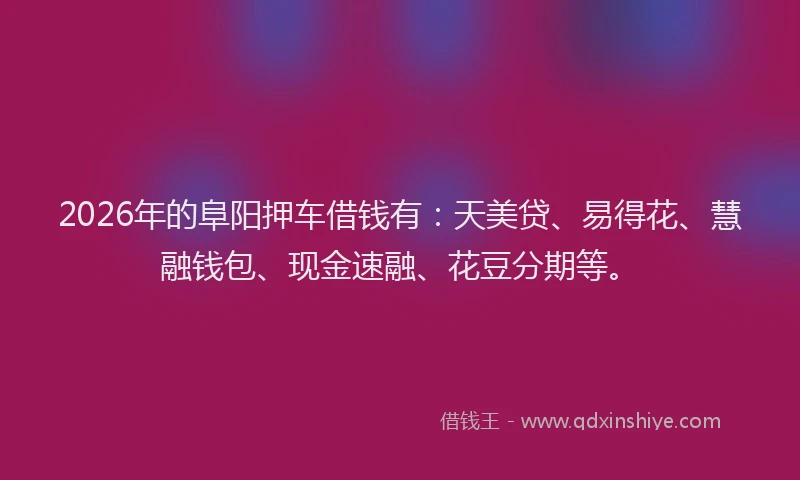 2026年的阜阳押车借钱有：天美贷、易得花、慧融钱包、现金速融、花豆分期等。